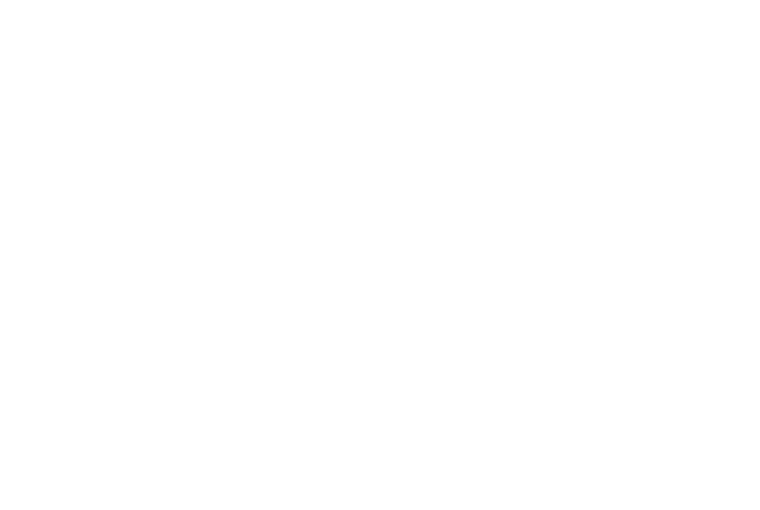 lalis kart white logo